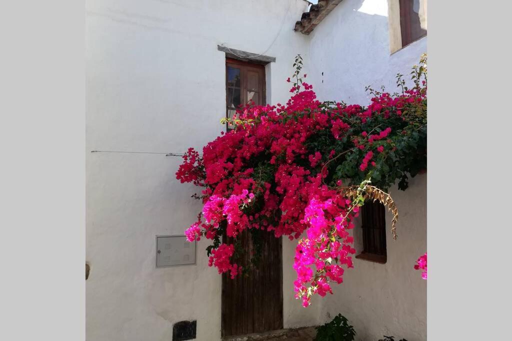 Casa En Fortaleza Medieval Castellar de la Frontera Buitenkant foto